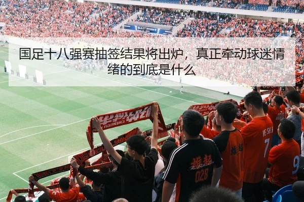 国足十八强赛抽签结果将出炉，真正牵动球迷情绪的到底是什么
